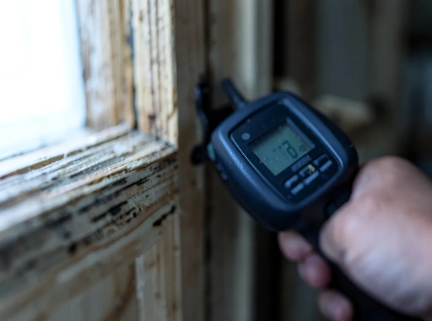 Moisture Inspection And Documentation in Scottsville, NY